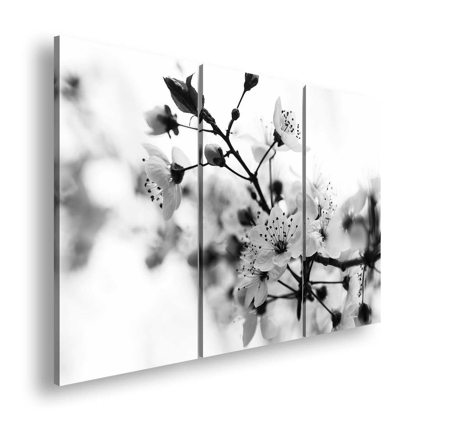 Hauptbild Schwarz & Weiß 3 Teilig