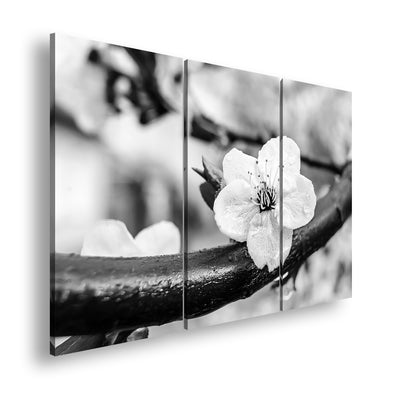 Hauptbild Schwarz & Weiß 3 Teilig