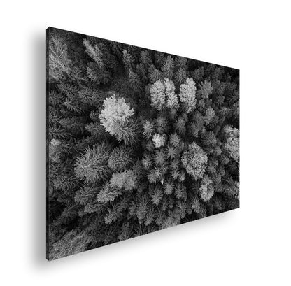 Hauptbild Schwarz & Weiß Standart