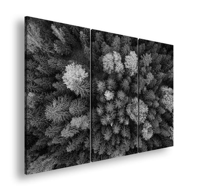 Hauptbild Schwarz & Weiß 3 Teilig