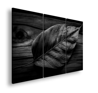 Hauptbild Schwarz & Weiß 3 Teilig