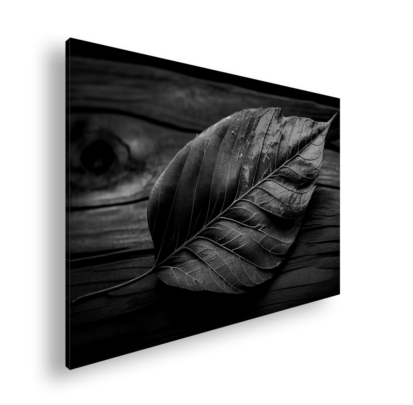 Hauptbild Schwarz & Weiß Standart