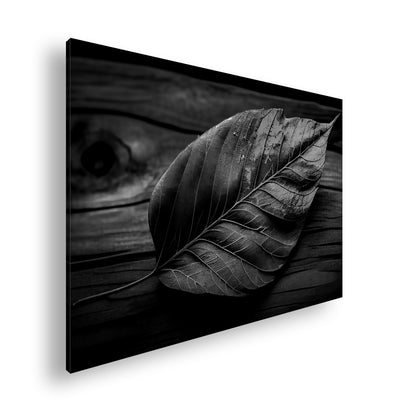 Hauptbild Schwarz & Weiß Standart