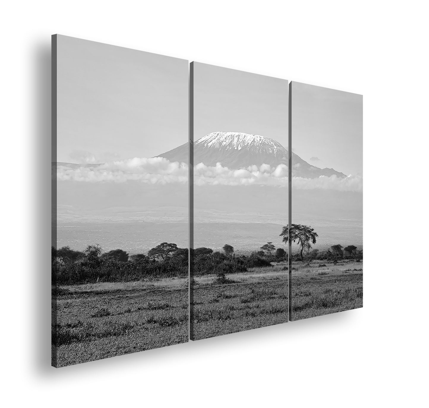 Hauptbild Schwarz & Weiß 3 Teilig