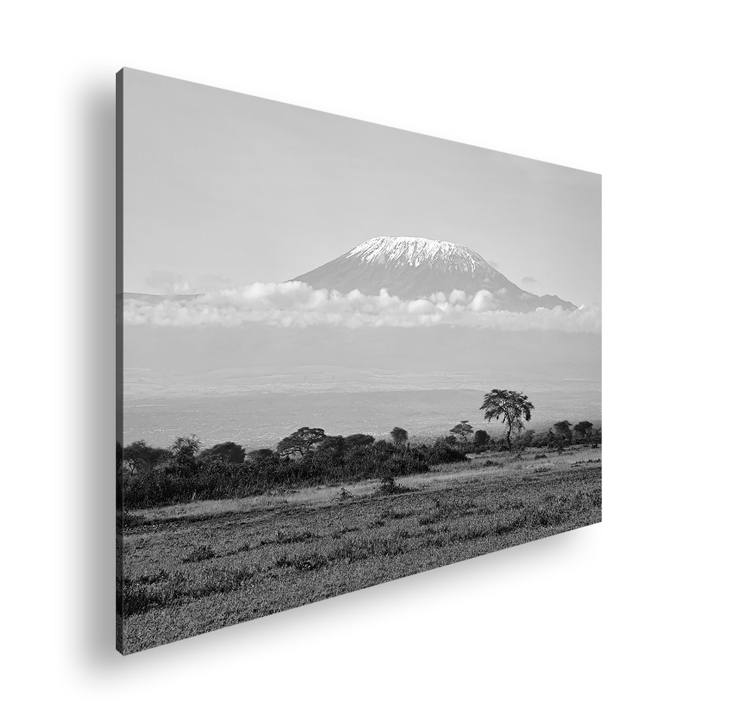 Hauptbild Schwarz & Weiß Standart