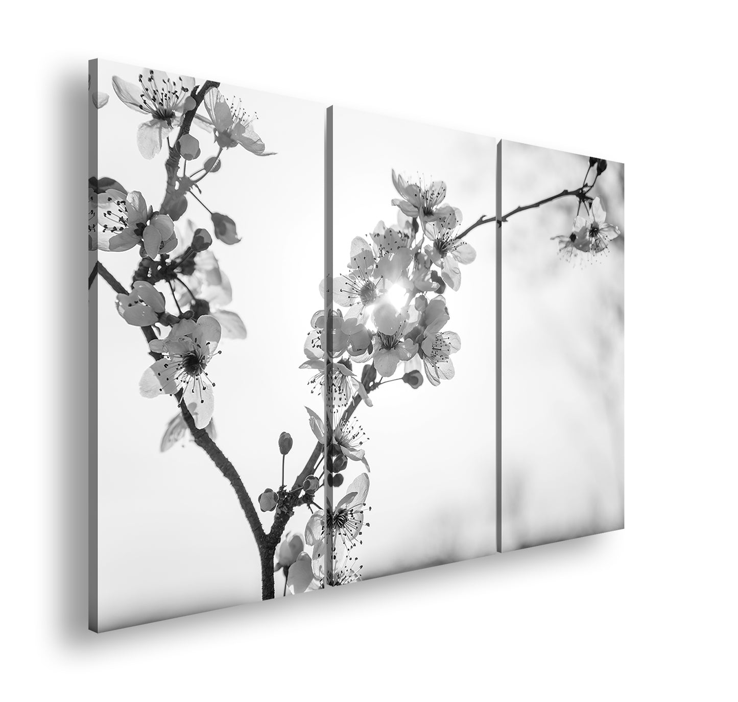 Hauptbild Schwarz & Weiß 3 Teilig