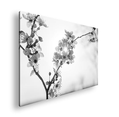 Hauptbild Schwarz & Weiß Standart