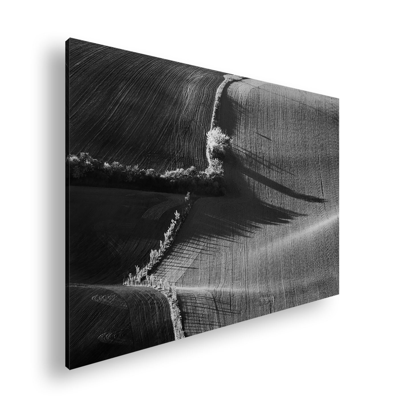 Hauptbild Schwarz & Weiß Standart