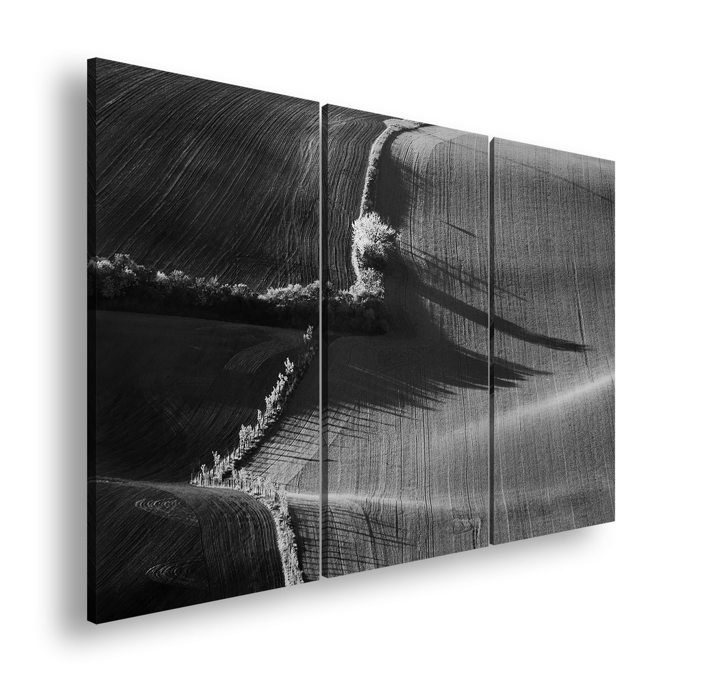 Hauptbild Schwarz & Weiß 3 Teilig