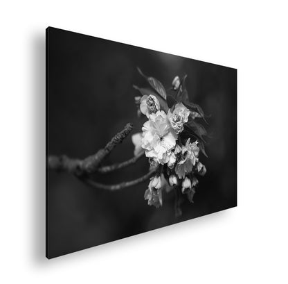 Hauptbild Schwarz & Weiß Standart