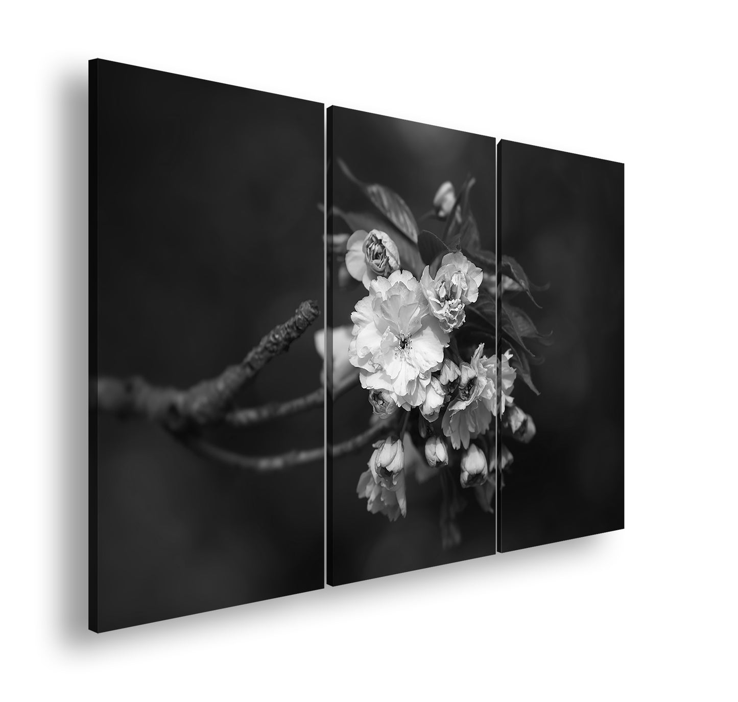 Hauptbild Schwarz & Weiß 3 Teilig