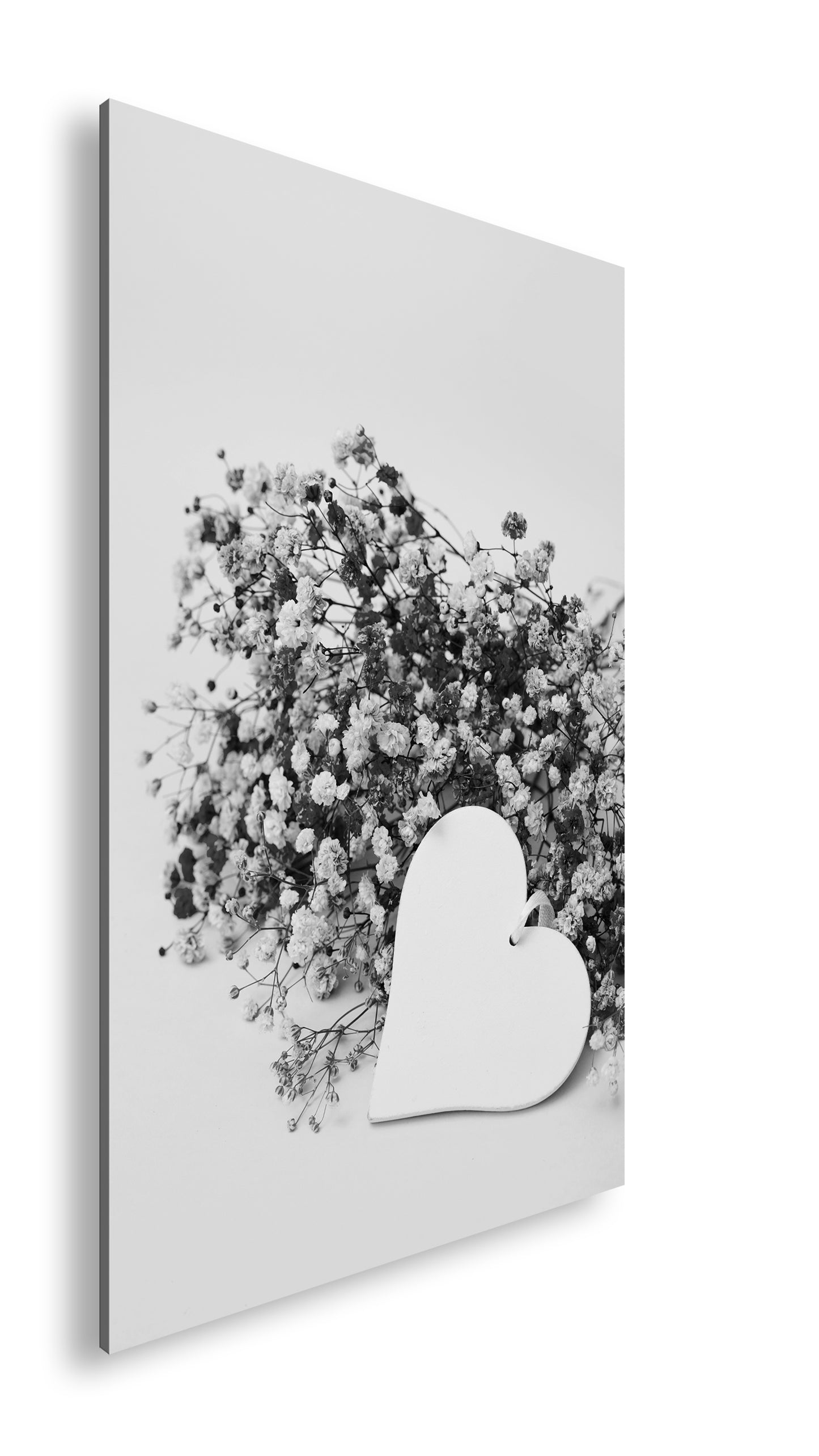 Hauptbild Schwarz & Weiß Standart