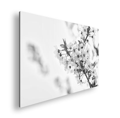 Hauptbild Schwarz & Weiß Standart