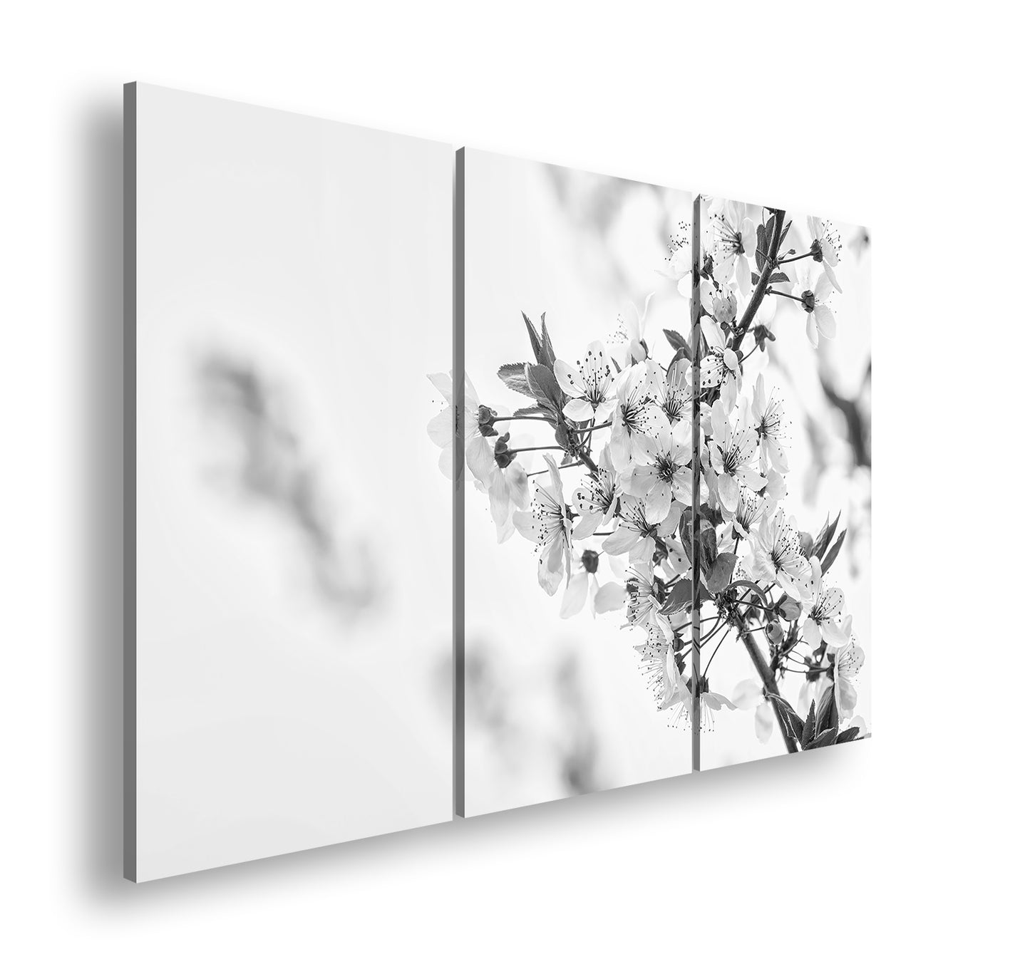 Hauptbild Schwarz & Weiß 3 Teilig