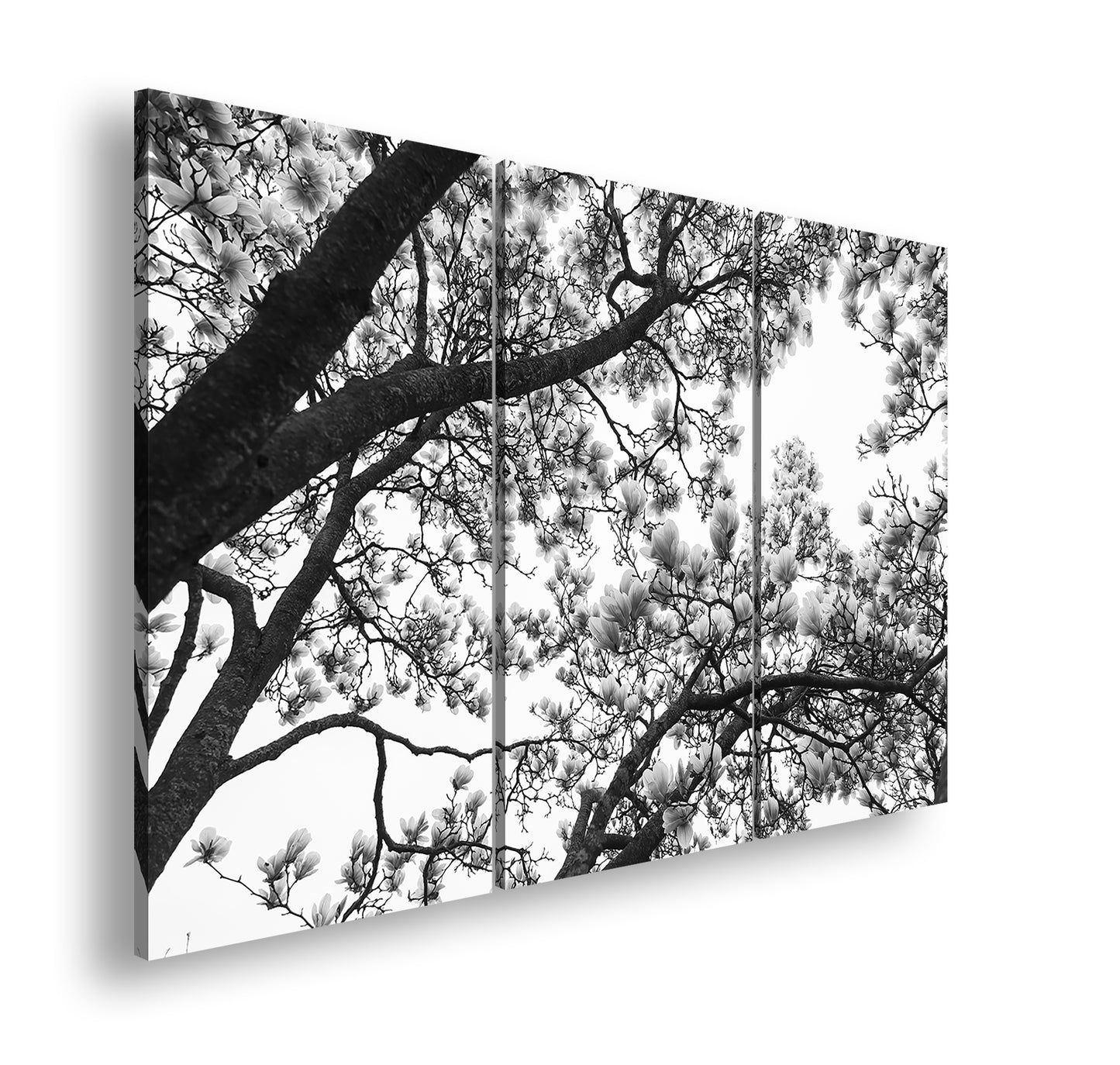 Hauptbild Schwarz & Weiß 3 Teilig