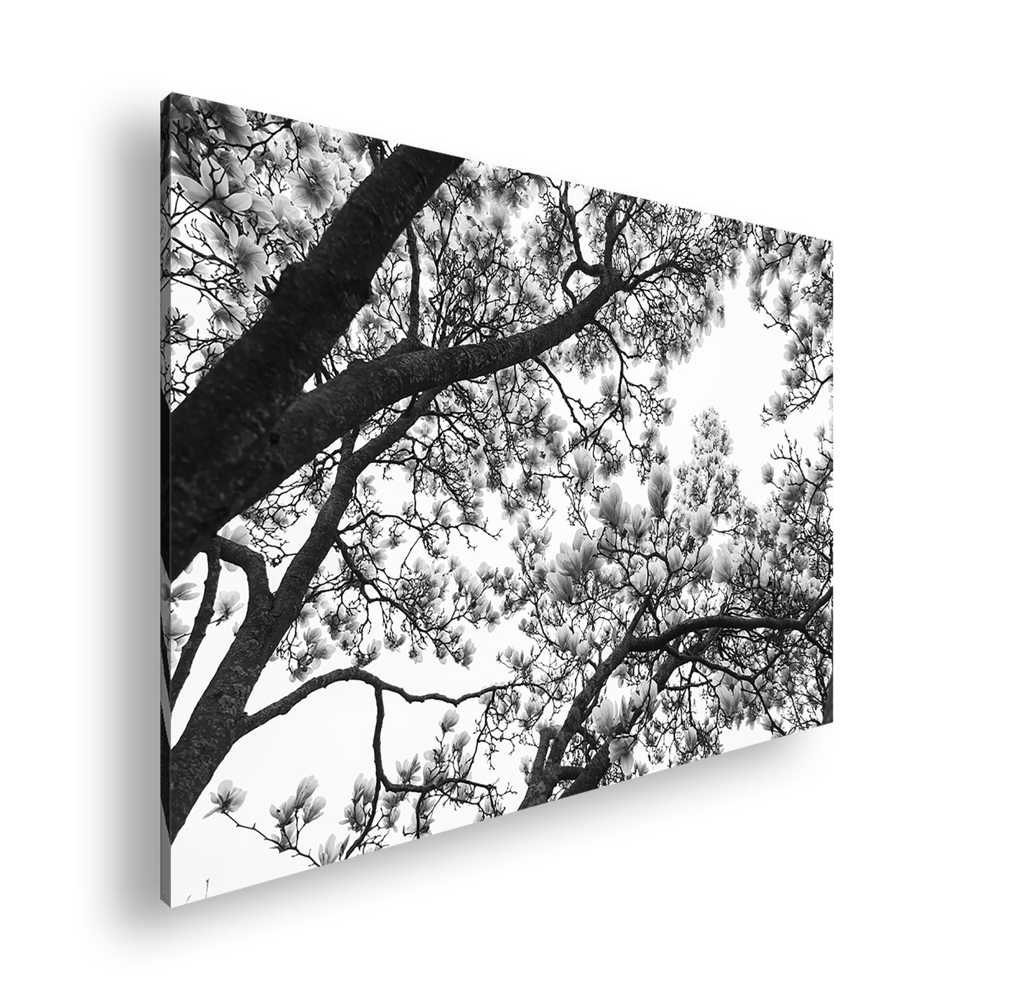 Hauptbild Schwarz & Weiß Standart