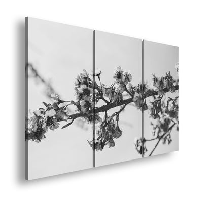 Hauptbild Schwarz & Weiß 3 Teilig