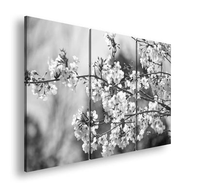 Hauptbild Schwarz & Weiß 3 Teilig