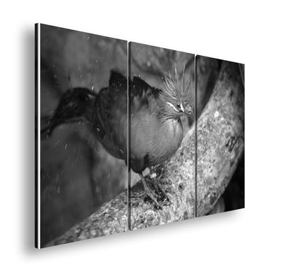 Hauptbild Schwarz & Weiß 3 Teilig