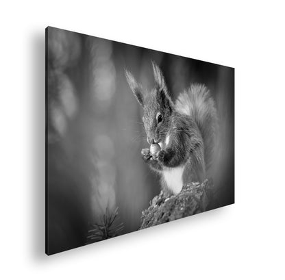 Hauptbild Schwarz & Weiß Standart