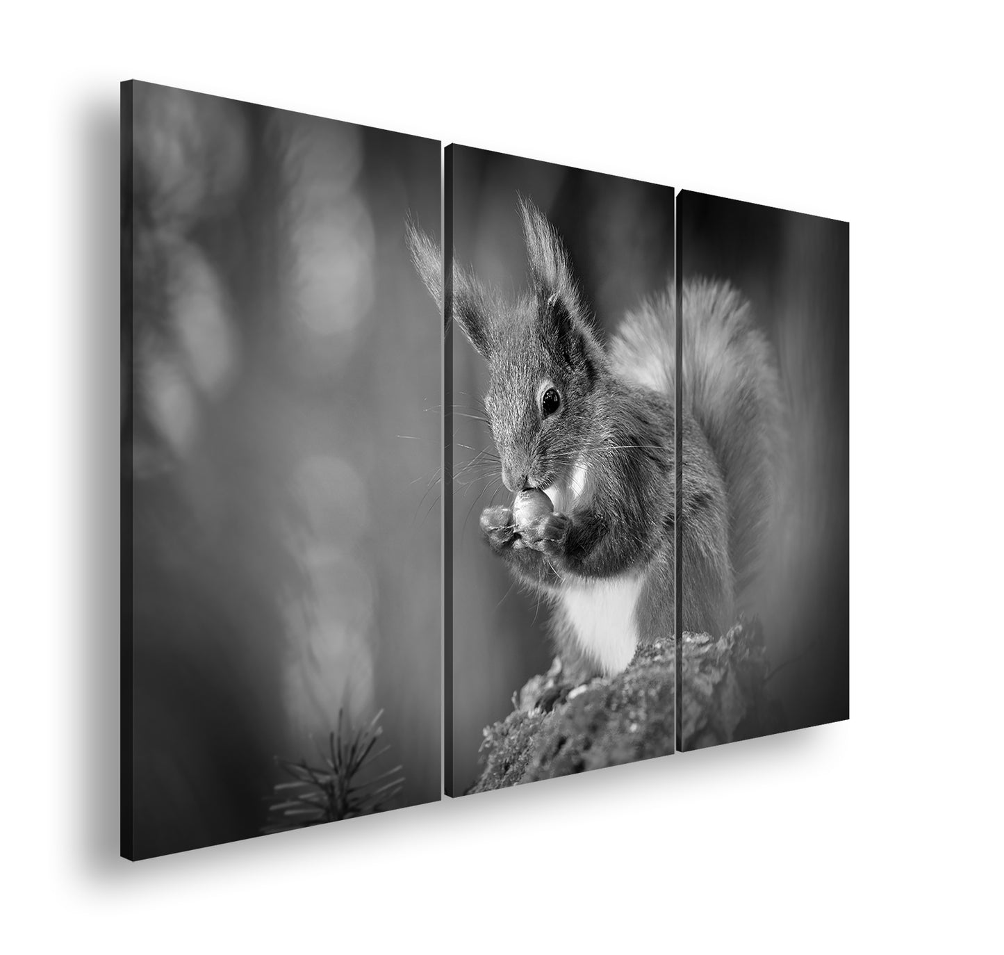 Hauptbild Schwarz & Weiß 3 Teilig