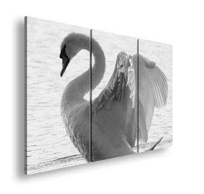 Hauptbild Schwarz & Weiß 3 Teilig