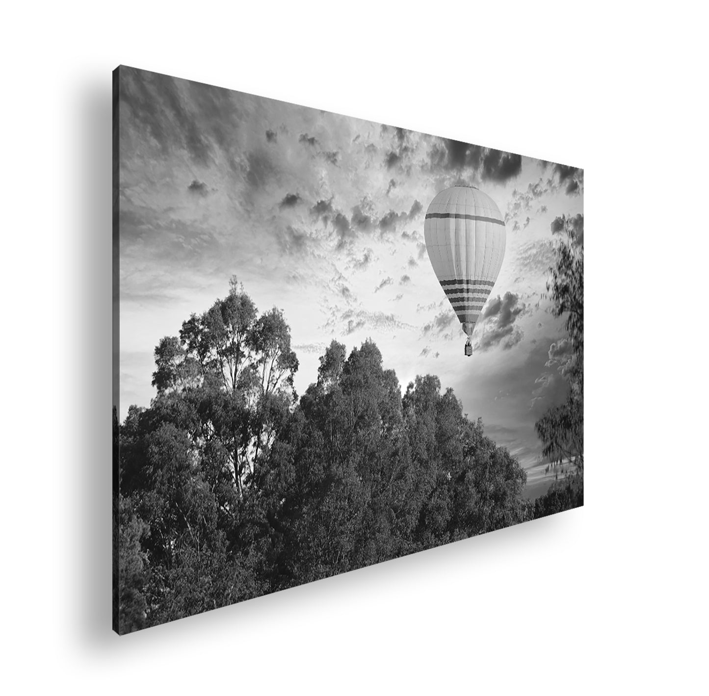 Hauptbild Schwarz & Weiß Standart