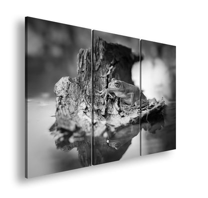 Hauptbild Schwarz & Weiß 3 Teilig