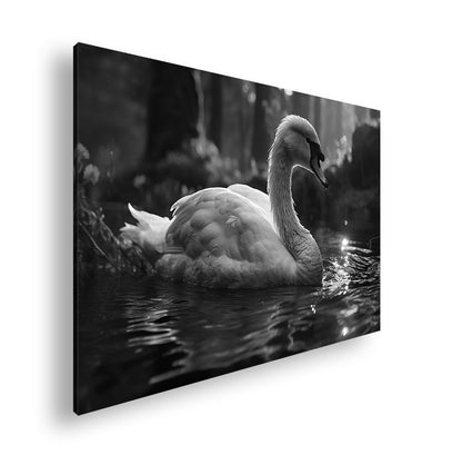 Hauptbild Schwarz & Weiß Standart