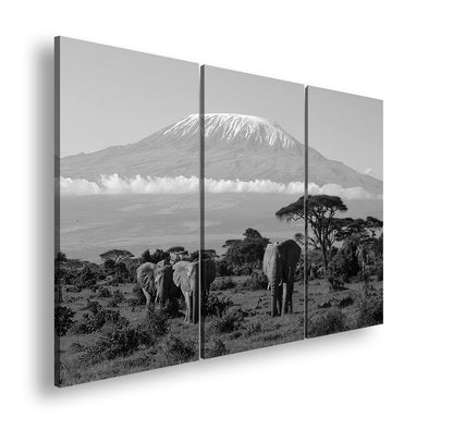 Hauptbild Schwarz & Weiß 3 Teilig