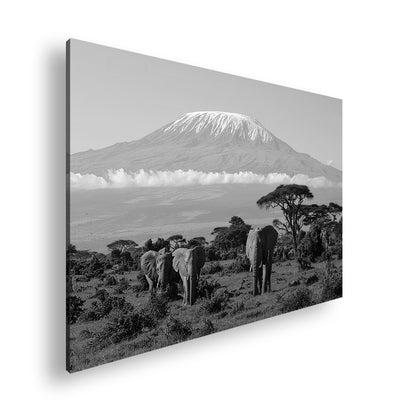 Hauptbild Schwarz & Weiß Standart