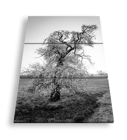 Hauptbild Schwarz & Weiß 3 Teilig