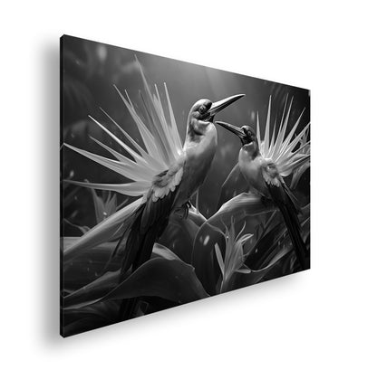 Hauptbild Schwarz & Weiß Standart