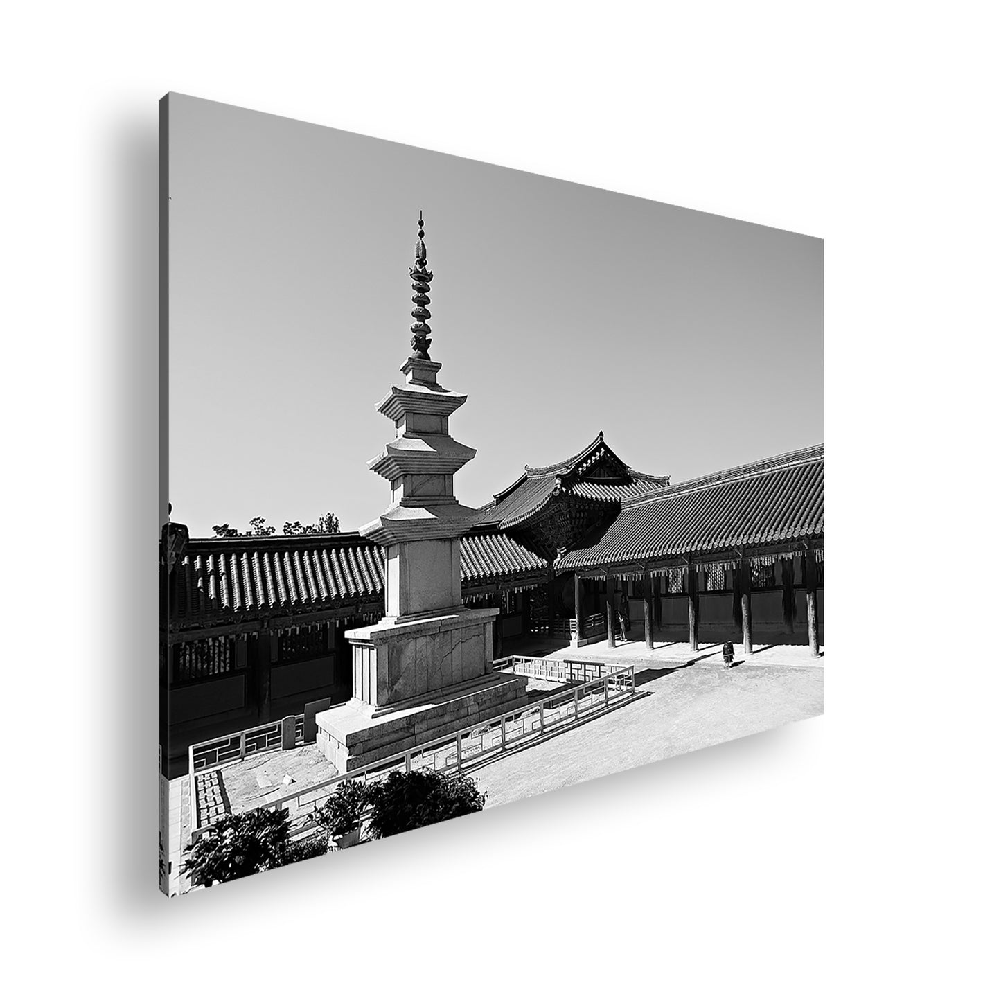 Hauptbild Schwarz & Weiß Standart