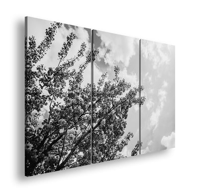 Hauptbild Schwarz & Weiß 3 Teilig