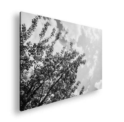 Hauptbild Schwarz & Weiß Standart