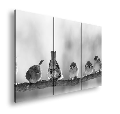 Hauptbild Schwarz & Weiß 3 Teilig