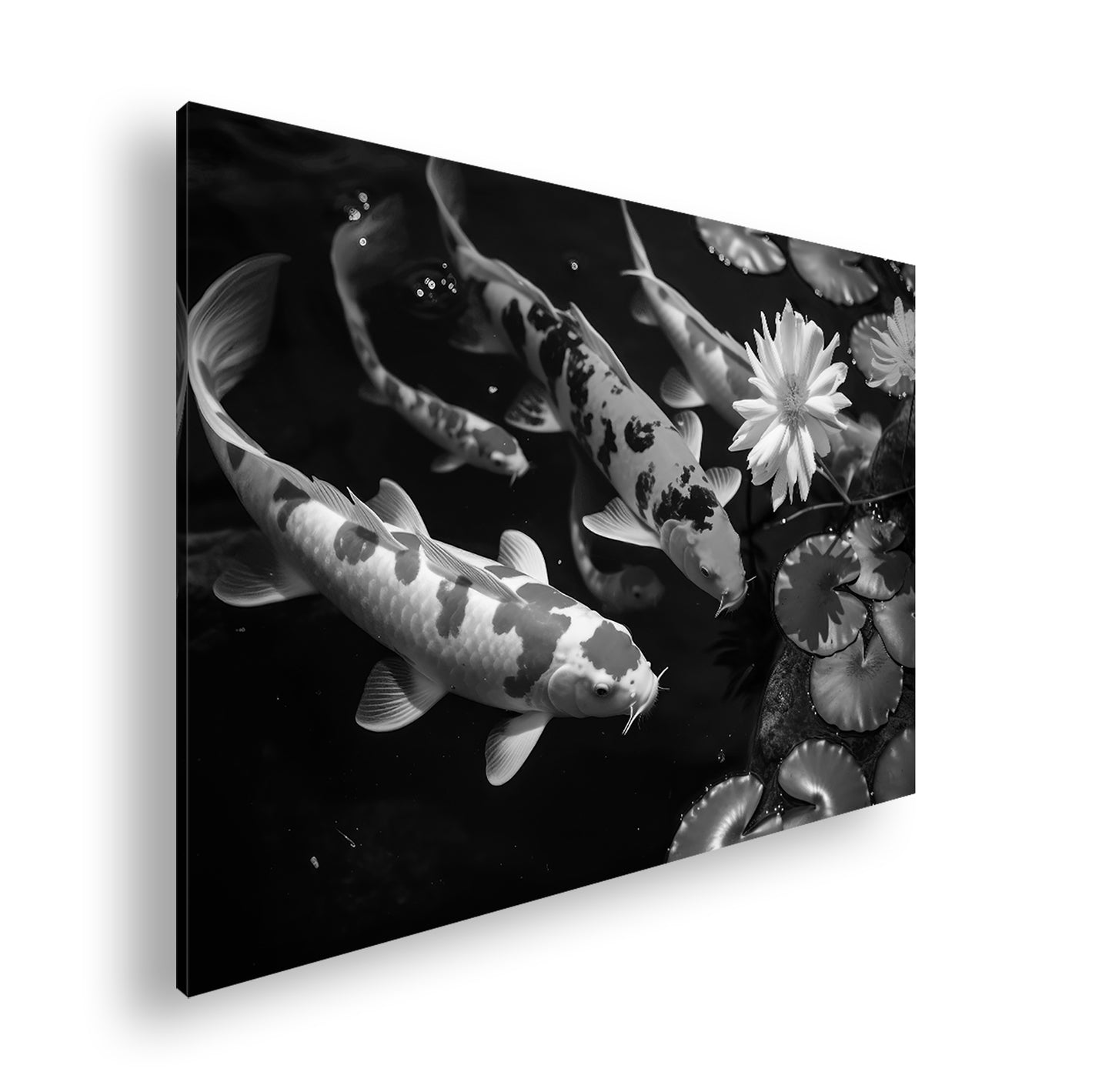 Hauptbild Schwarz & Weiß Standart