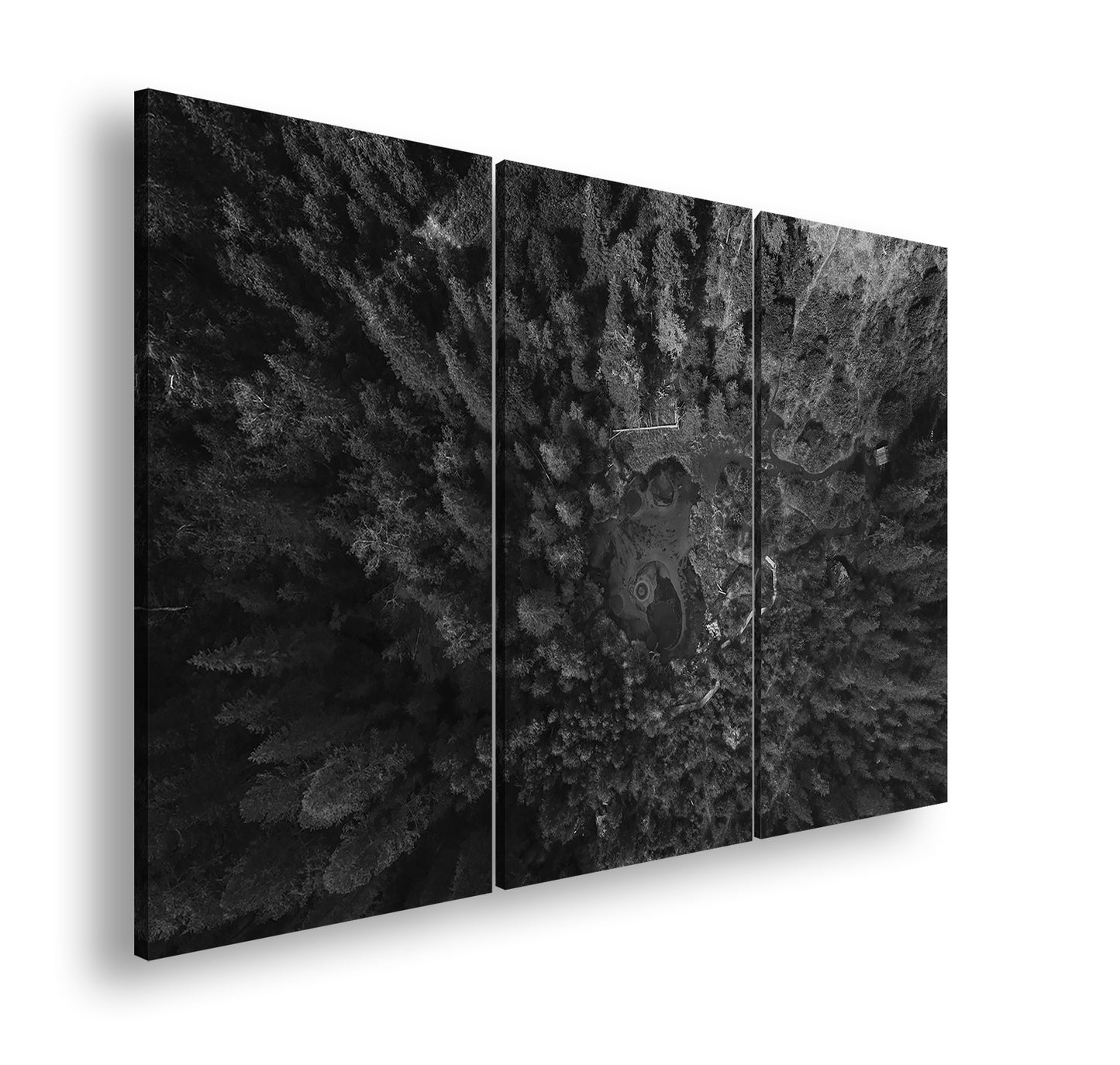 Hauptbild Schwarz & Weiß 3 Teilig