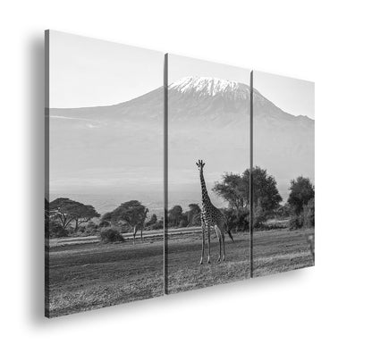 Hauptbild Schwarz & Weiß 3 Teilig