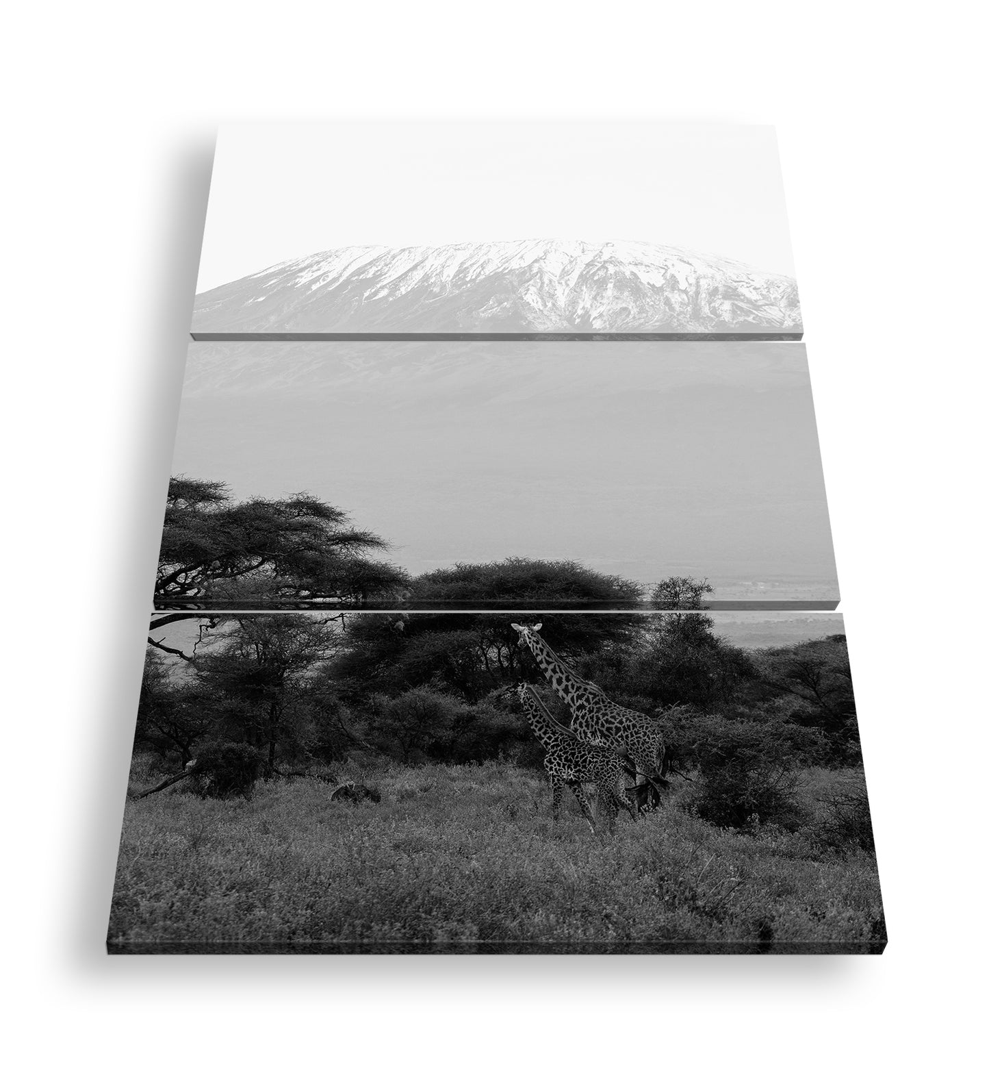 Hauptbild Schwarz & Weiß 3 Teilig