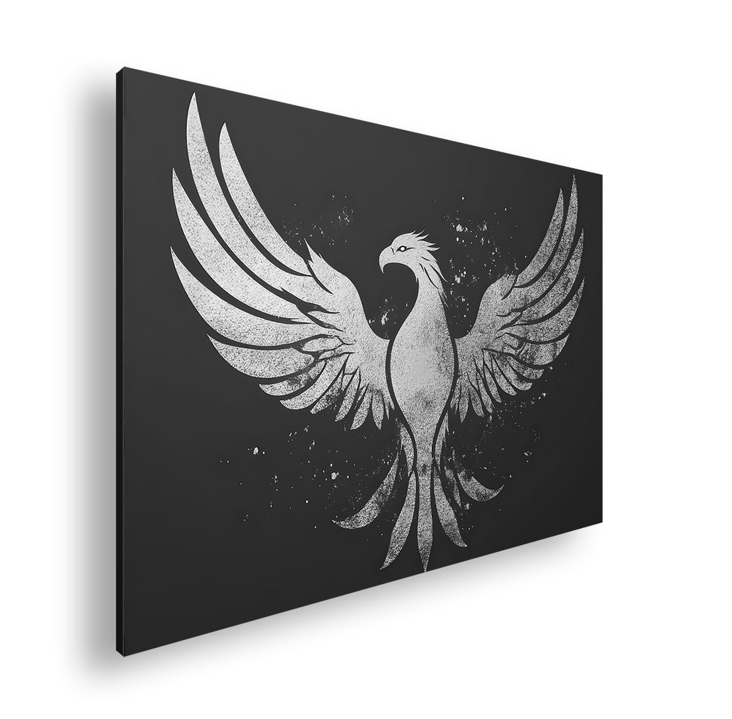 Hauptbild Schwarz & Weiß Standart