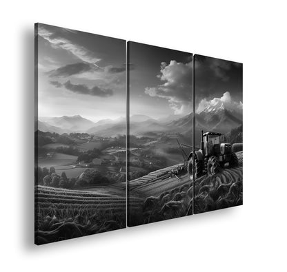 Hauptbild Schwarz & Weiß 3 Teilig