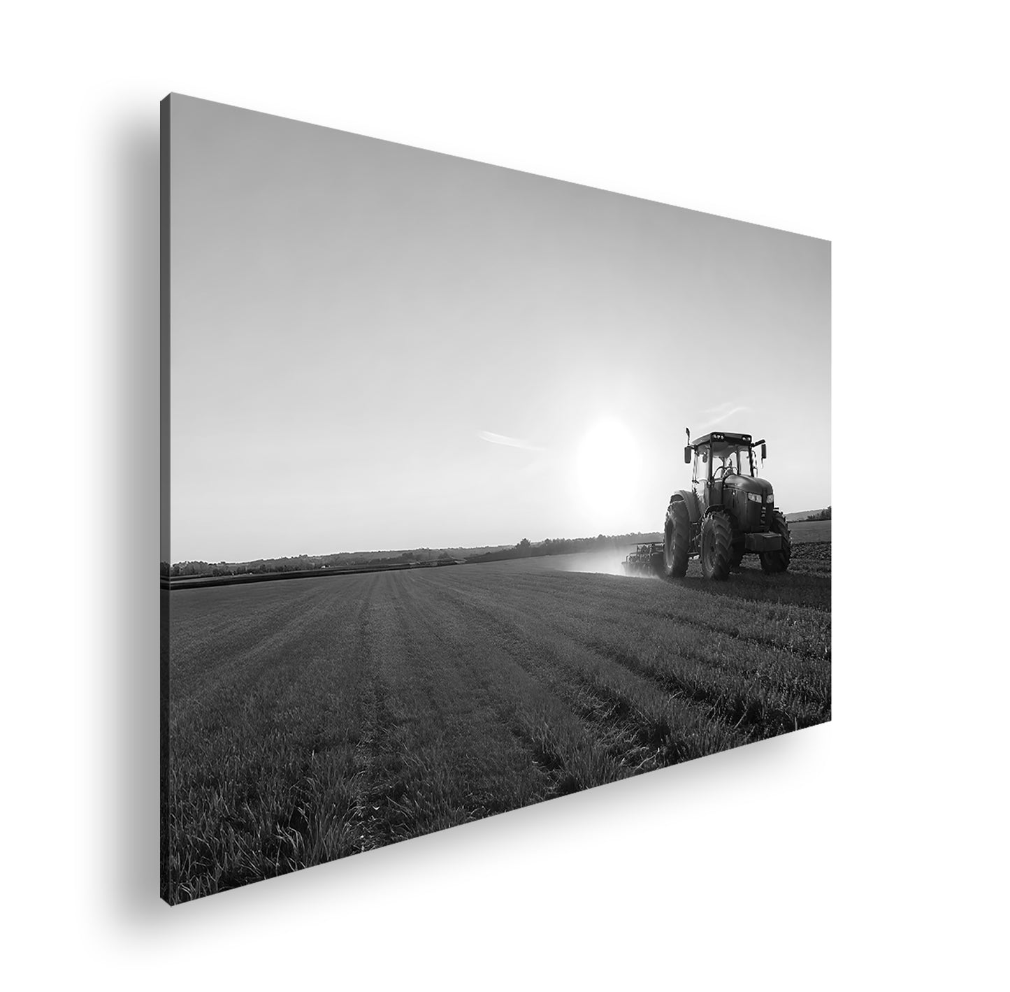 Hauptbild Schwarz & Weiß Standart