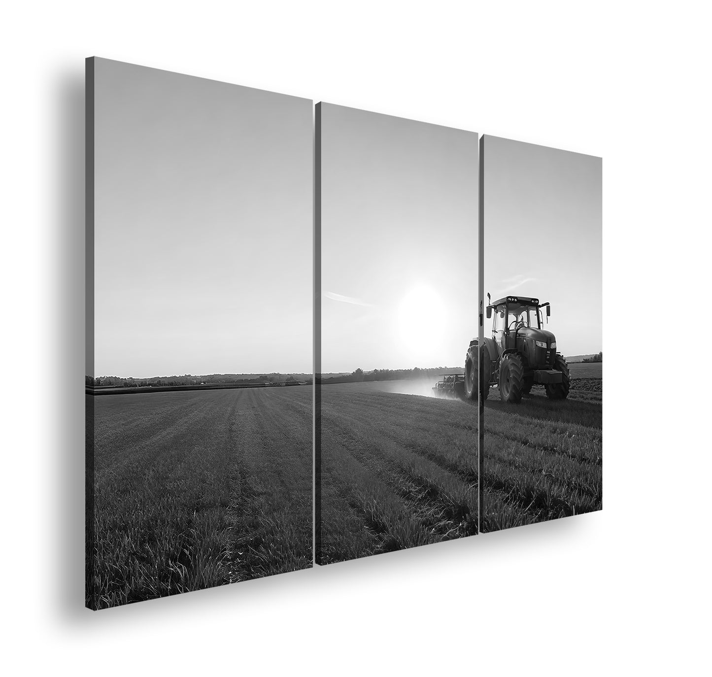 Hauptbild Schwarz & Weiß 3 Teilig