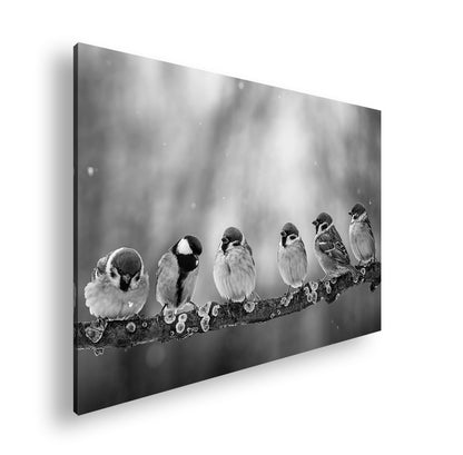 Hauptbild Schwarz & Weiß Standart