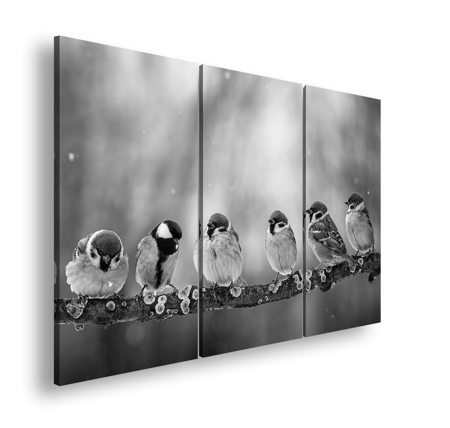 Hauptbild Schwarz & Weiß 3 Teilig