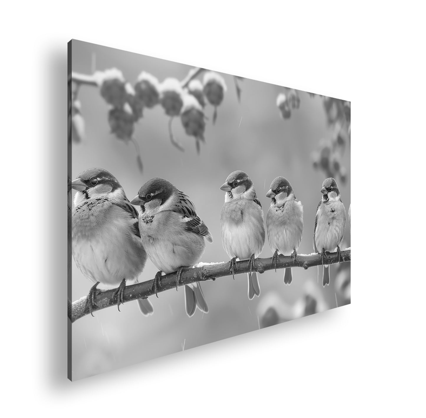 Hauptbild Schwarz & Weiß Standart