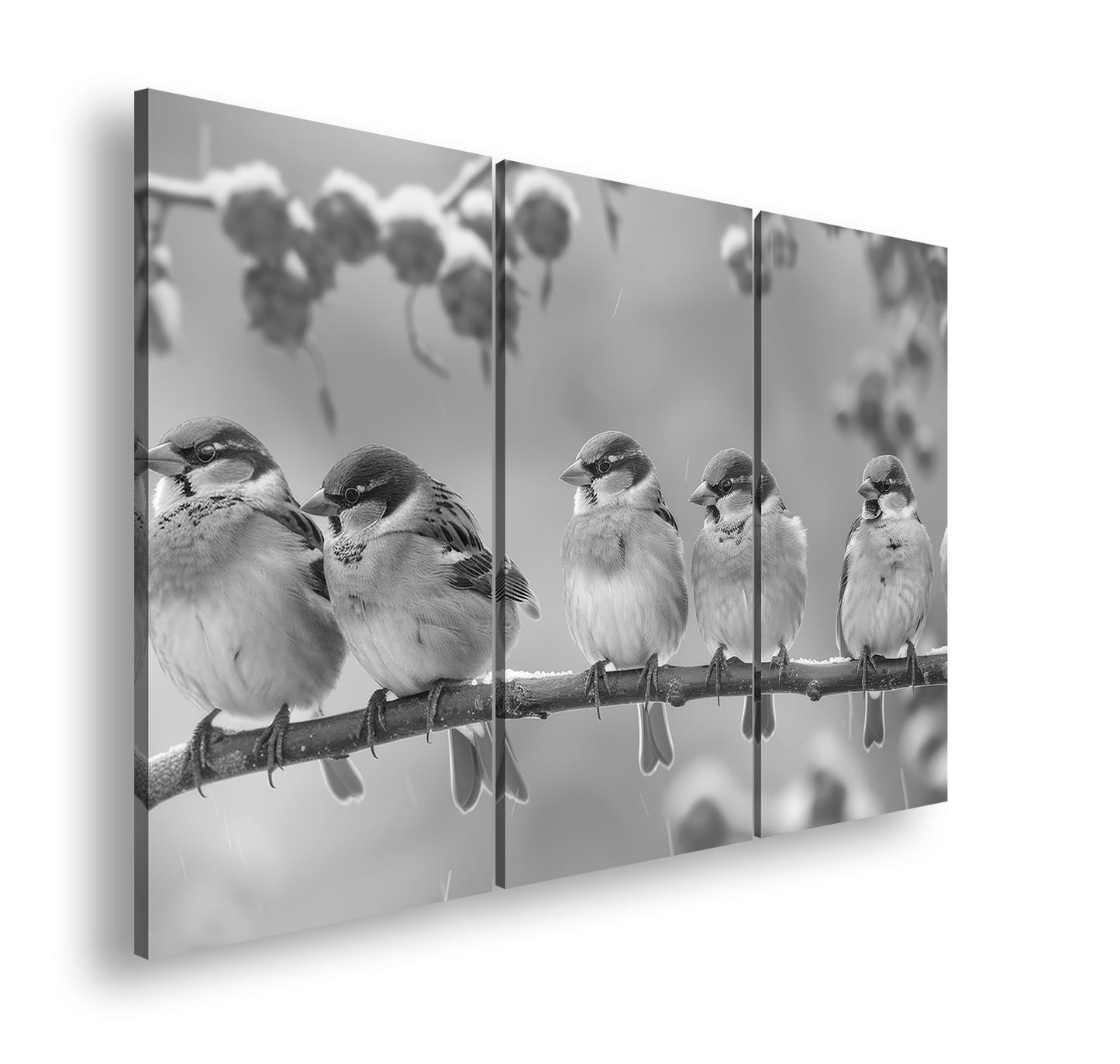 Hauptbild Schwarz & Weiß 3 Teilig