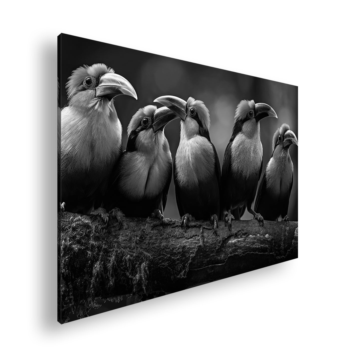 Hauptbild Schwarz & Weiß Standart